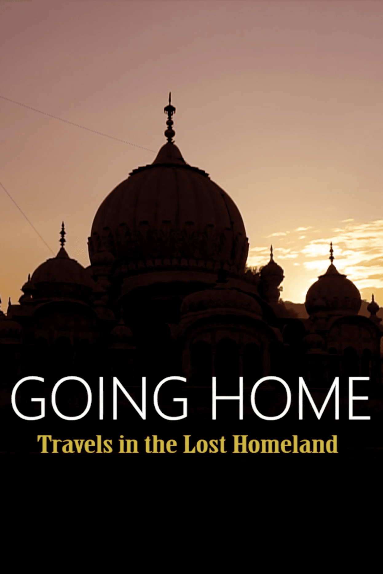 Going Home Poster
